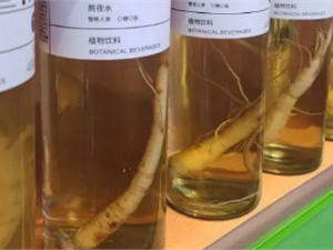一整根人参水卖断货，爆火的消费密码究竟是什么？